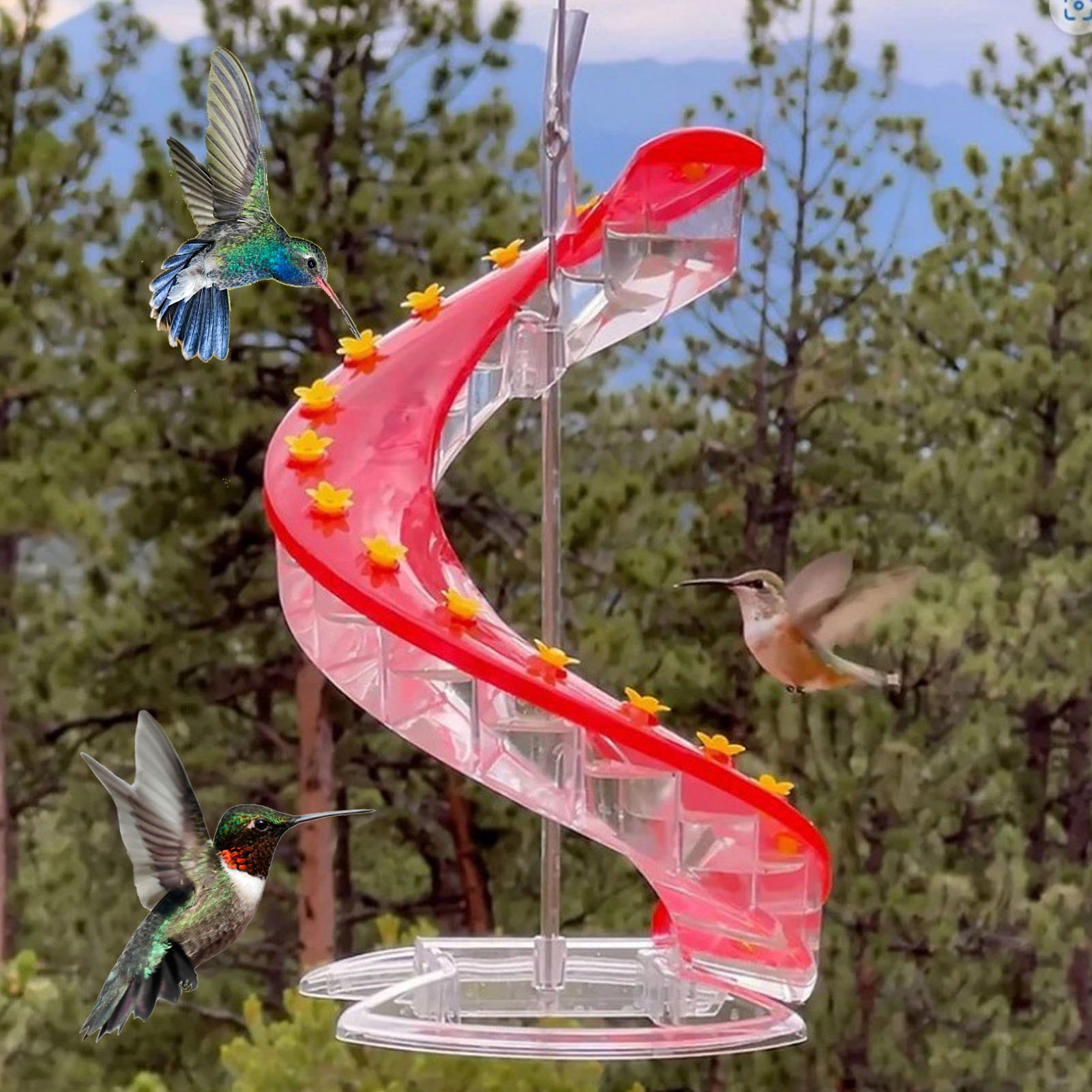 Mangeoire à Colibris Suspendue - 3 Ports, Réservoir Transparent, Crochet Fer | Pour Jardin, Balcon, Attirer Les Oiseaux - 8